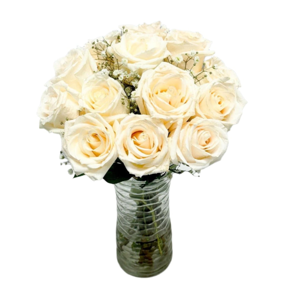 12 WHITE ROSES