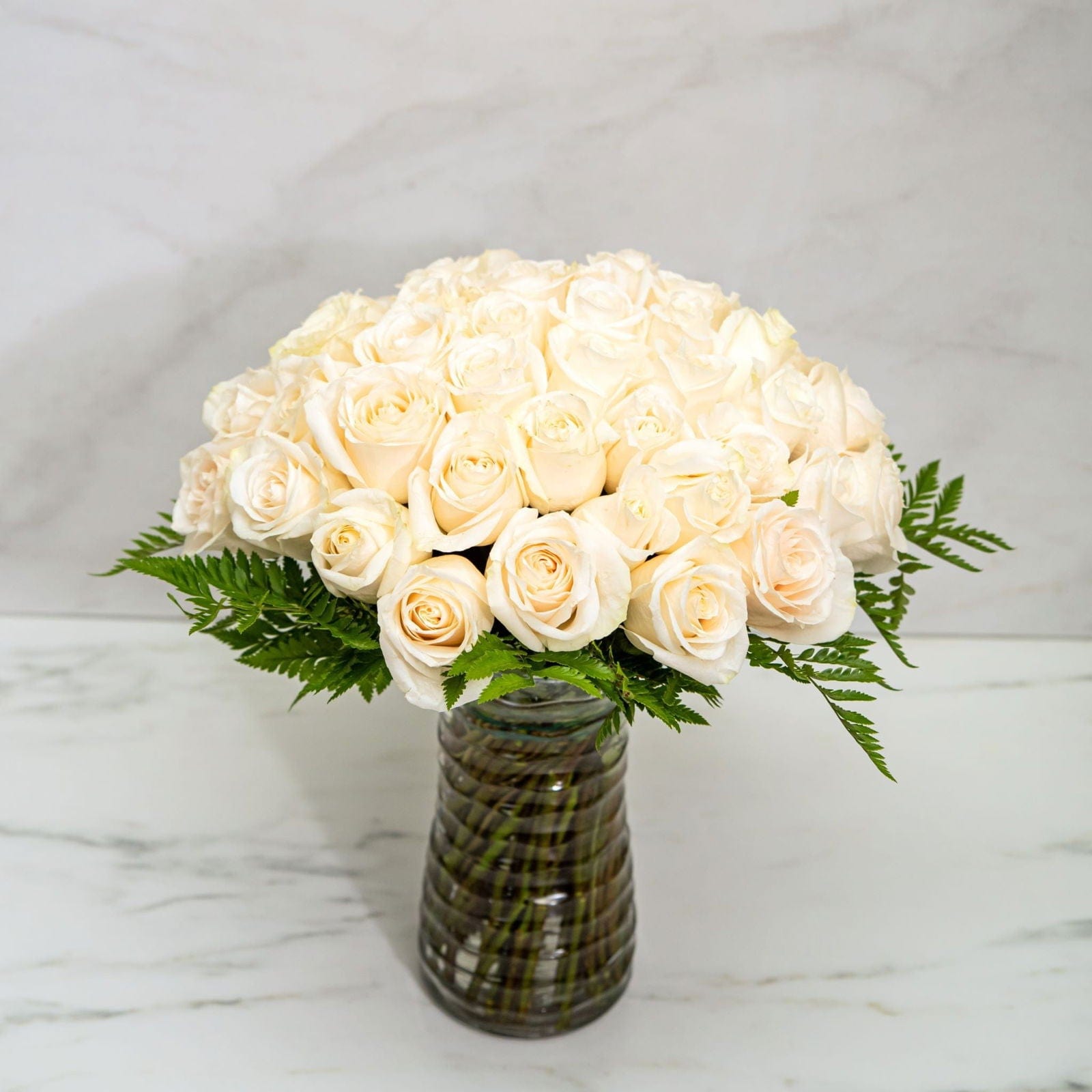 24 WHITE ROSES