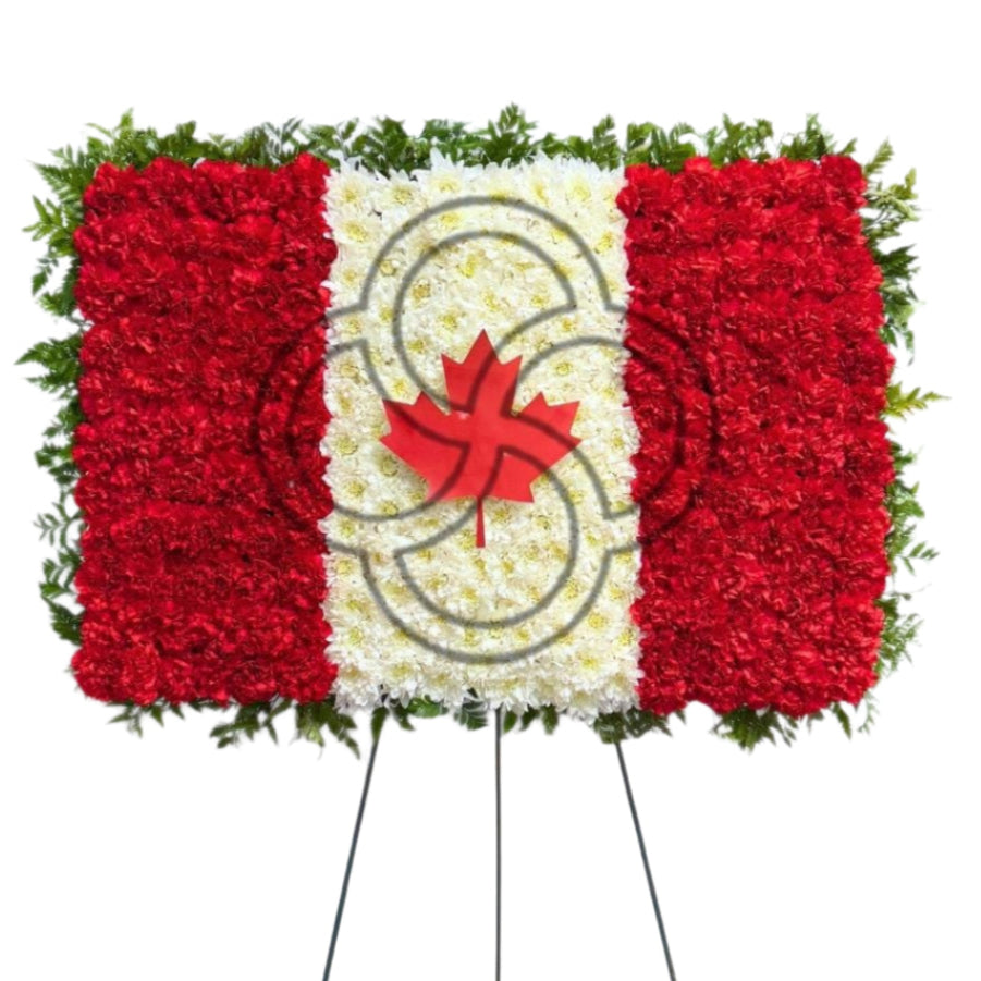 Gallary image