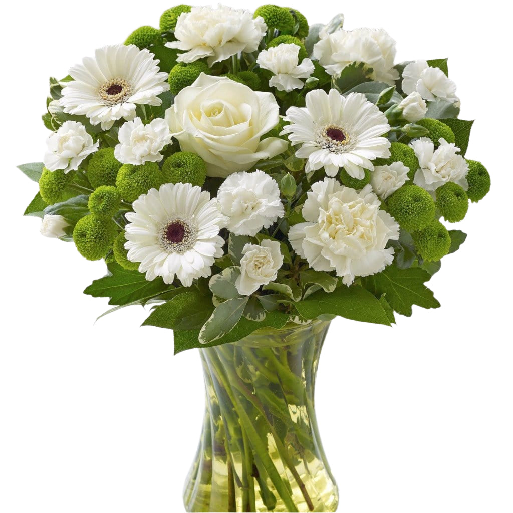 Welcome the new arrival in style with this beautiful hand tied fresh flowers. With this gift we’ve opted for natural elegance and simplicity, choosing stunning yet understated shades of cream, ivory and white, so it’s the perfect choice to celebrate a new baby boy or baby girl. Toronto Online Flower Delivery Service for Luxury Roses providing free delivery in the greater Toronto area for Birthdays, Anniversary, New baby, Weddings, Mother’s Day and Valentines day
