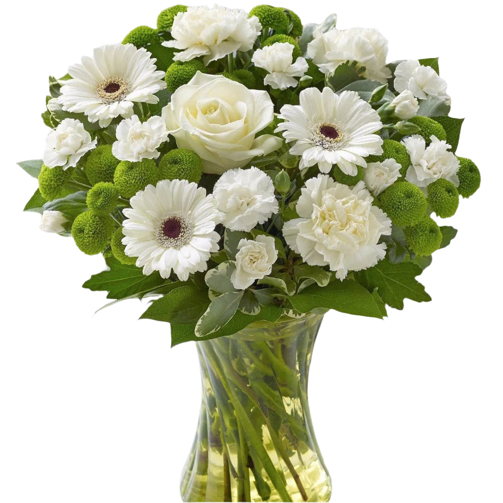 Welcome the new arrival in style with this beautiful hand tied fresh flowers. With this gift weāve opted for natural elegance and simplicity, choosing stunning yet understated shades of cream, ivory and white, so itās the perfect choice to celebrate a new baby boy or baby girl. Toronto Online Flower Delivery Service for Luxury Roses providing free delivery in the greater Toronto area for Birthdays, Anniversary, New baby, Weddings, Motherās Day and Valentines day