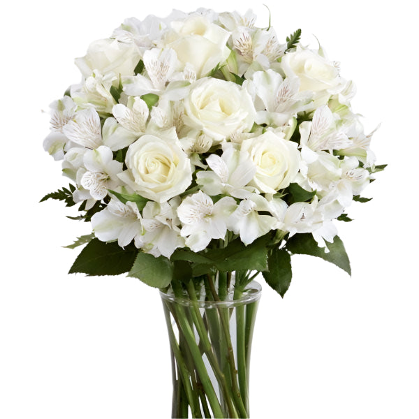 Beautiful white roses and alstroemeria are accented beautifully arranged and hand tied to create an elegant gift that is ready to display straight away. Toronto Online Flower Delivery Service for Luxury Roses providing free delivery in the greater Toronto area for Birthdays, Anniversary, New baby, Weddings, Mother’s Day and Valentines day