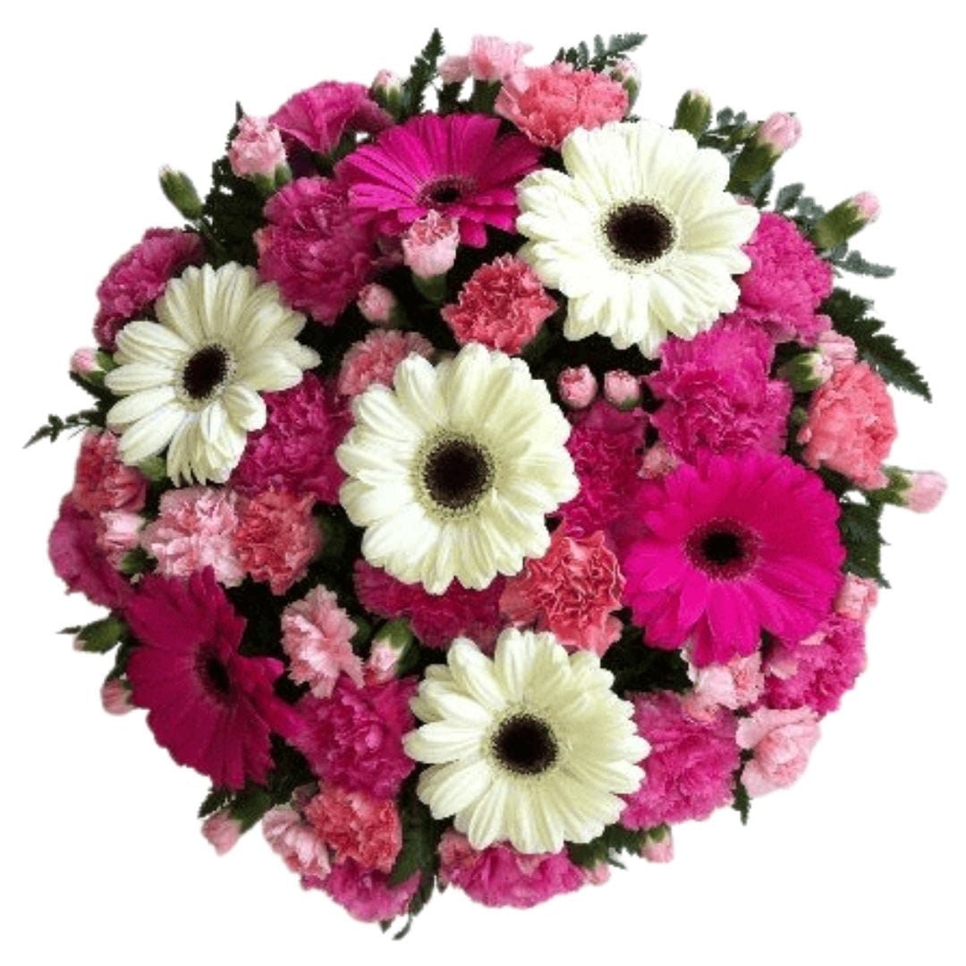 Classic Posy (Hot Pink & White)