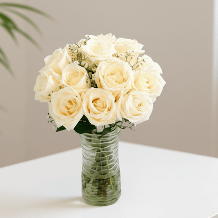 12 WHITE ROSES