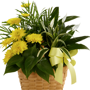 Basket Arrangement (Yellow & Green)