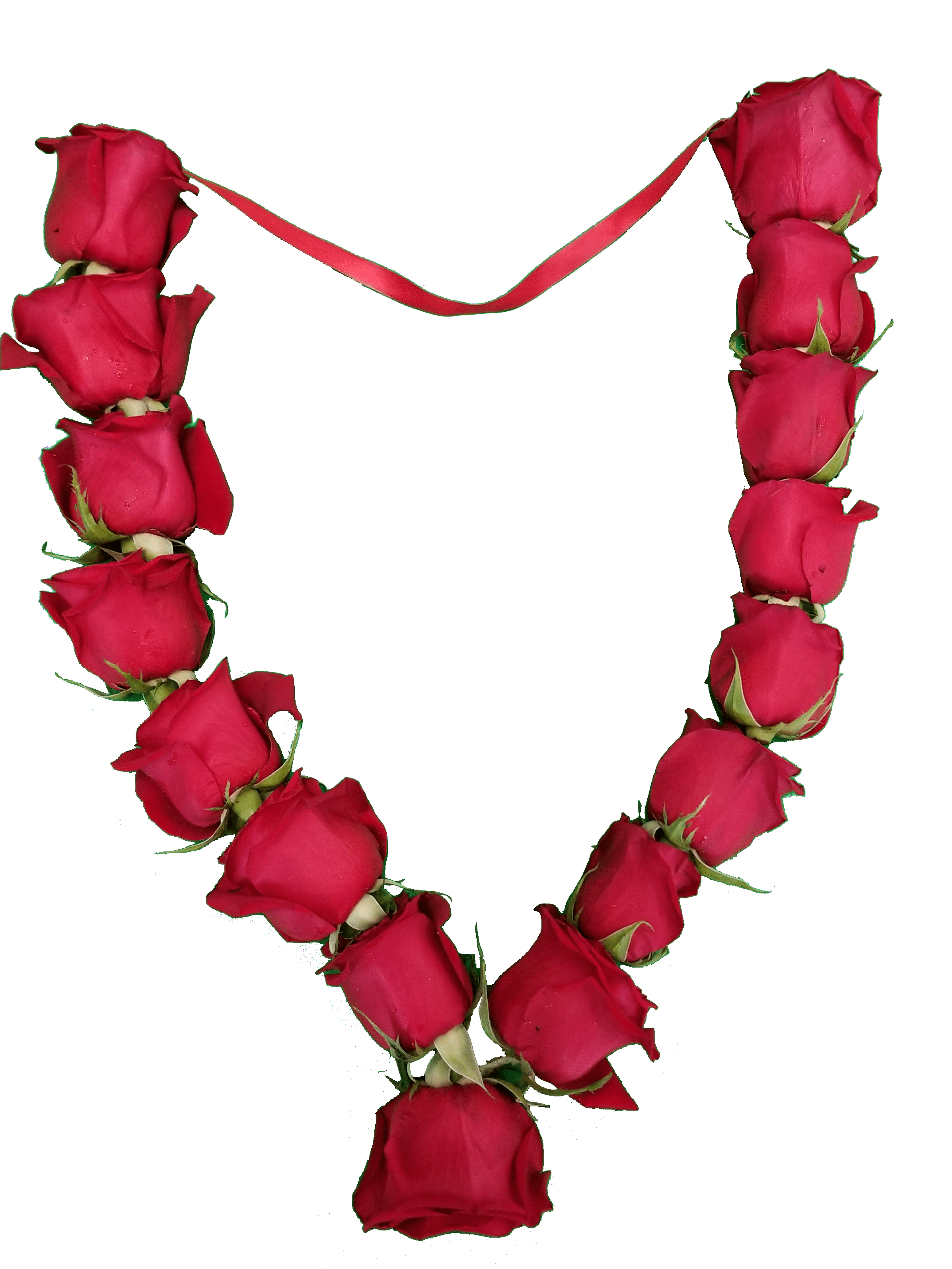 Garland: Roses (Red)