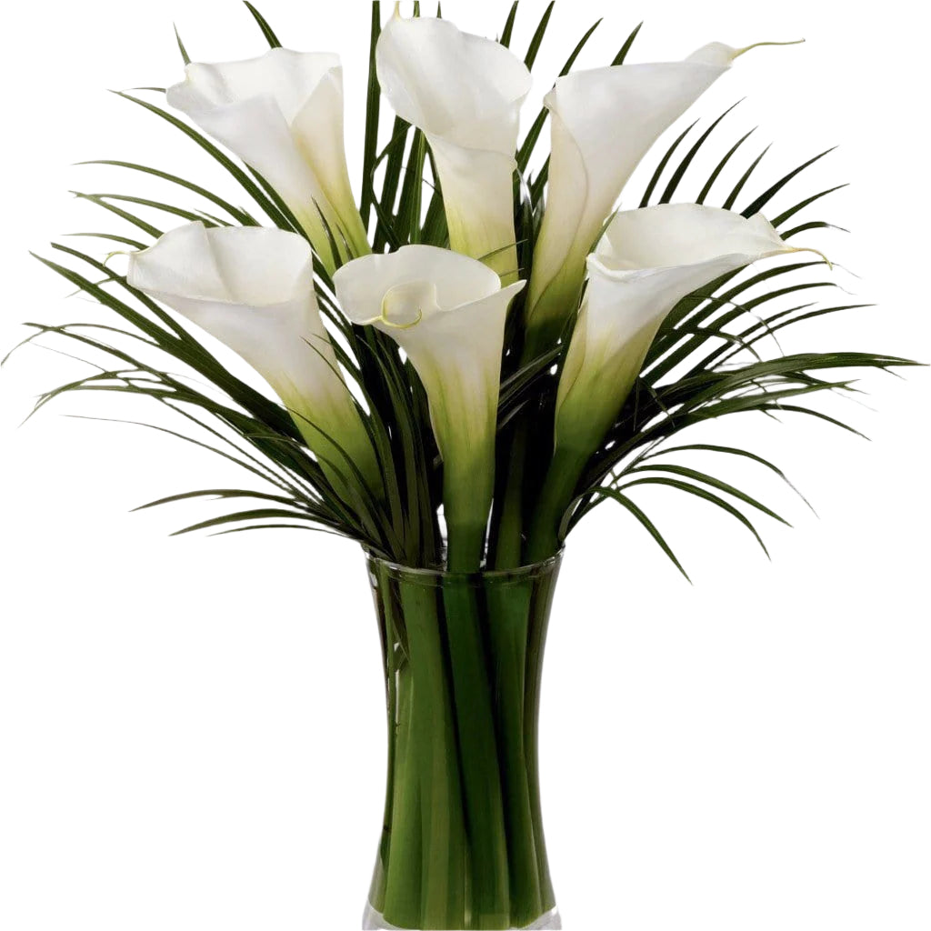 Simple and sophisticated, these exquisite full-sized white calla lilies are accented by lush palm leaves and hand tied by our professional designers to create a wonderful, heartfelt gesture. Toronto Online Flower Delivery Service for Luxury Roses providing free delivery in the greater Toronto area for Birthdays, Anniversary, New baby, Weddings, Mother’s Day and Valentines day